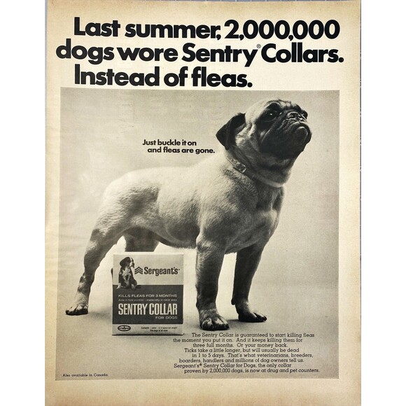 Sergeant's Sentry Dog Collar "Just Buckle Up and Fleas are Gone" Print Ad 1967 - Picture 1 of 3